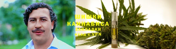 амф Краснослободск